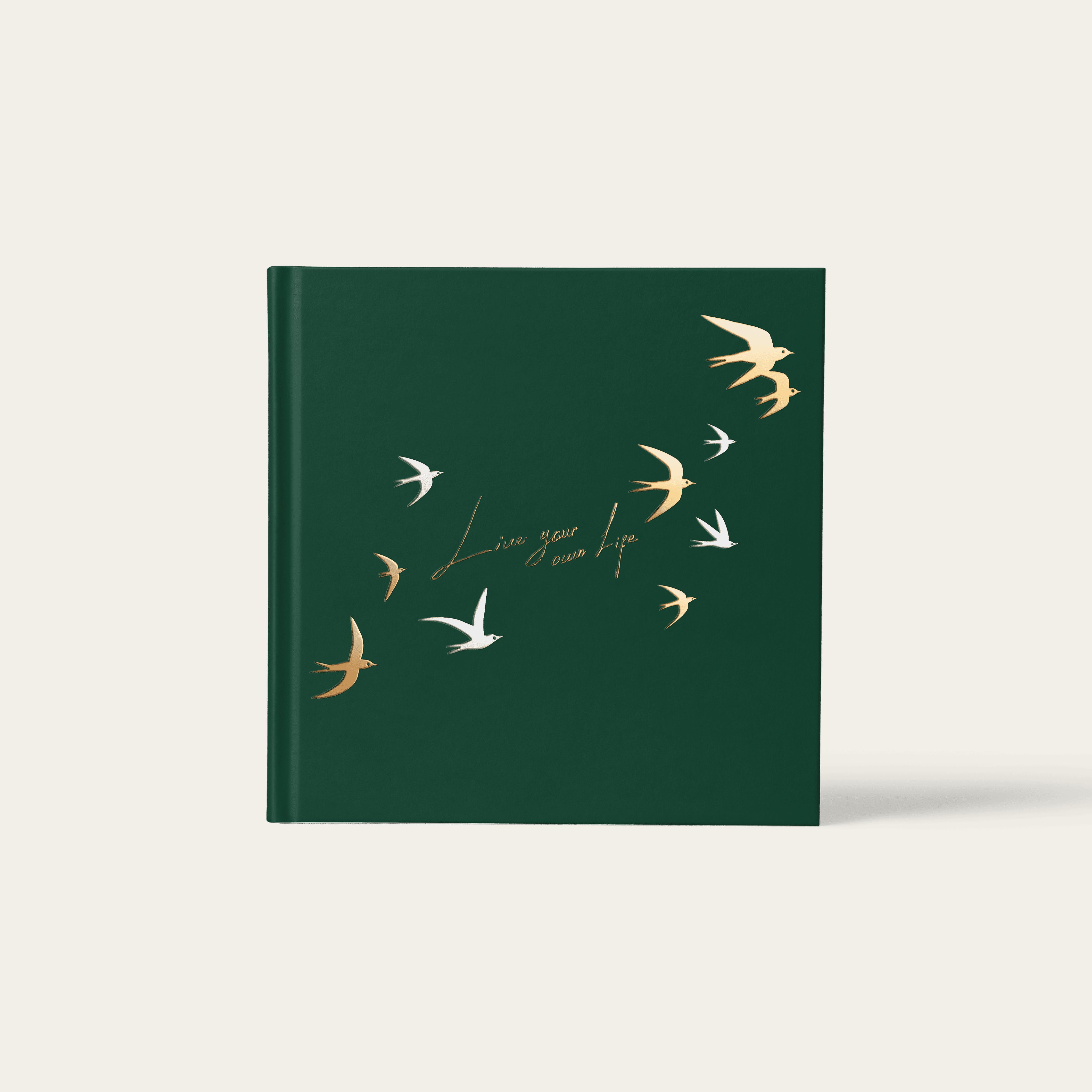 Qarta X m² - Live your own life - view 1