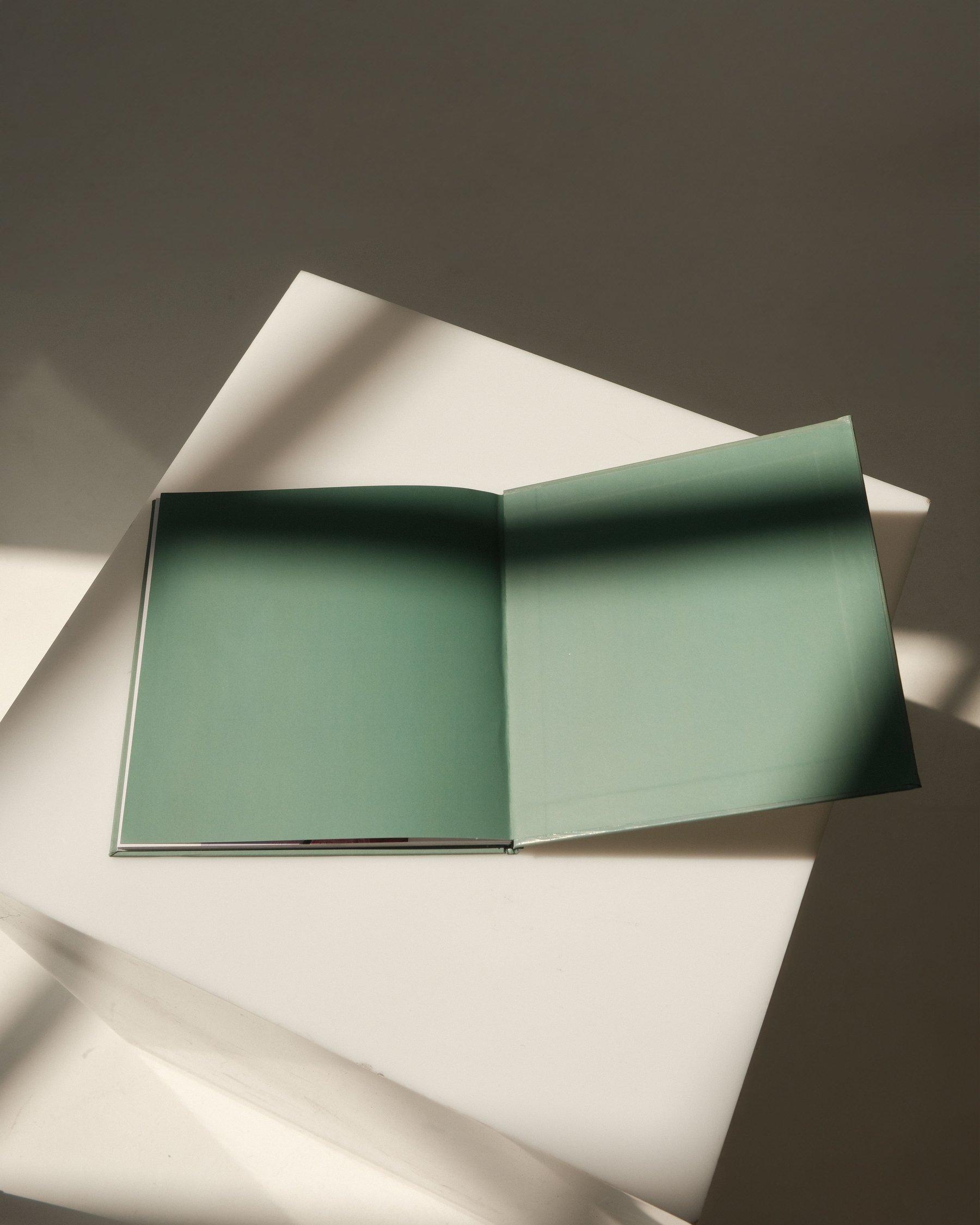 Star Illustration - view 11