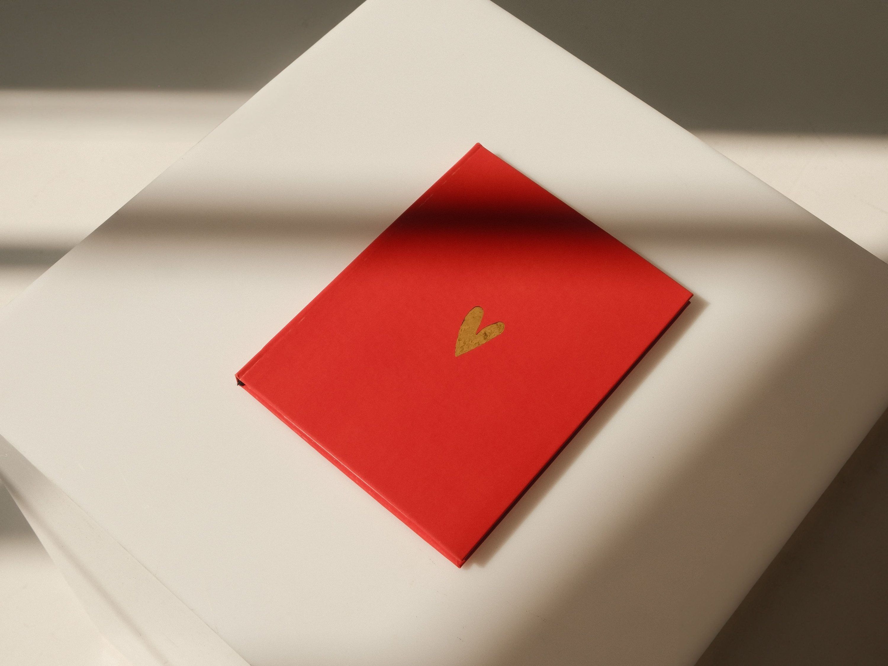 Heart - view 3