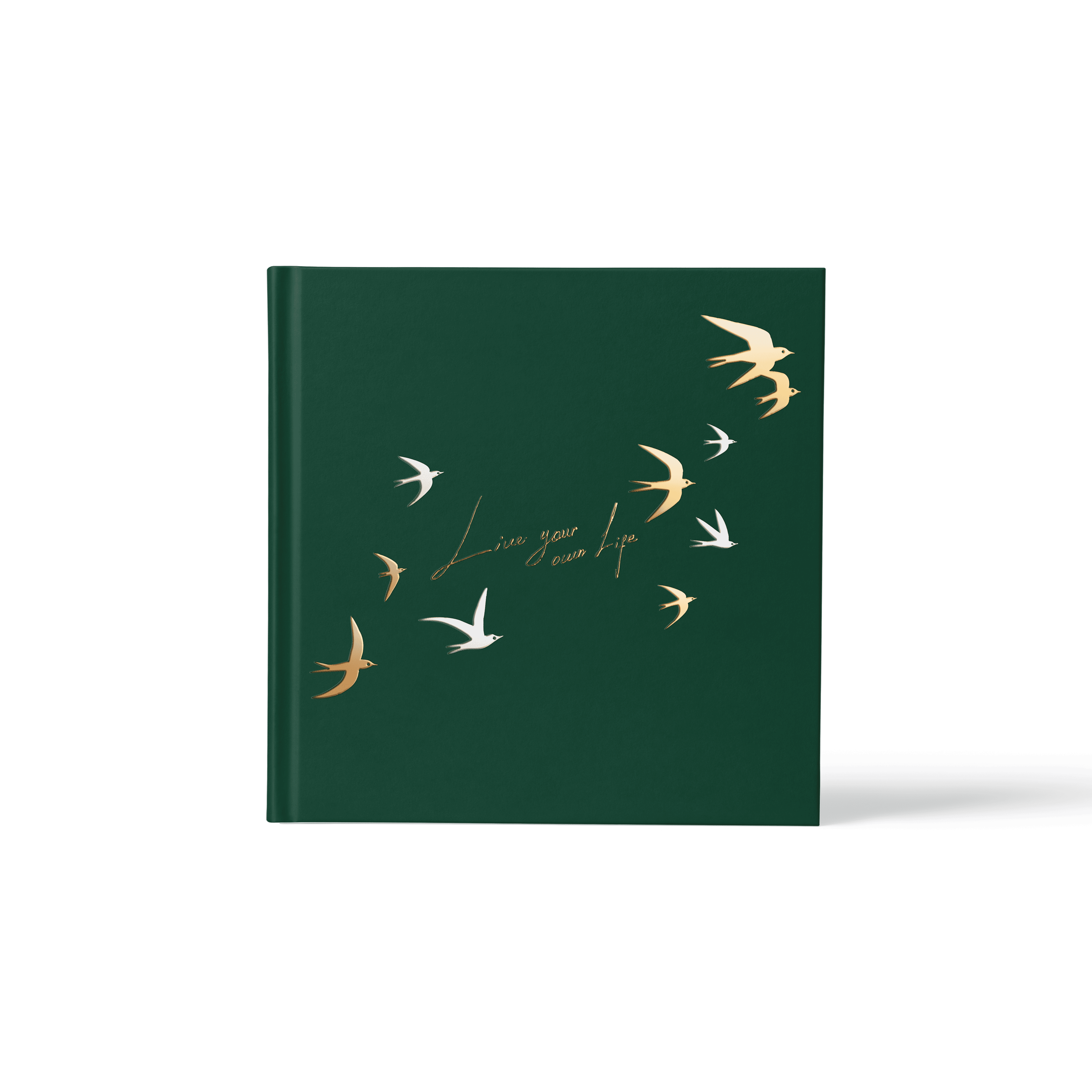 Qarta X m² - Live your own life